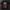 Jarrowin Tee ZK, back